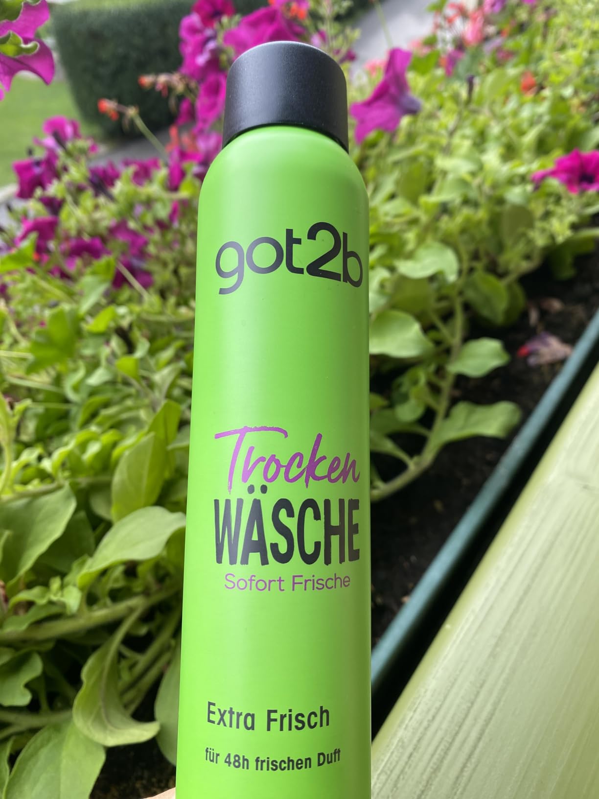 got2b Trocken Wäsche Trockenshampoo Extra Frisch 2x200 ml