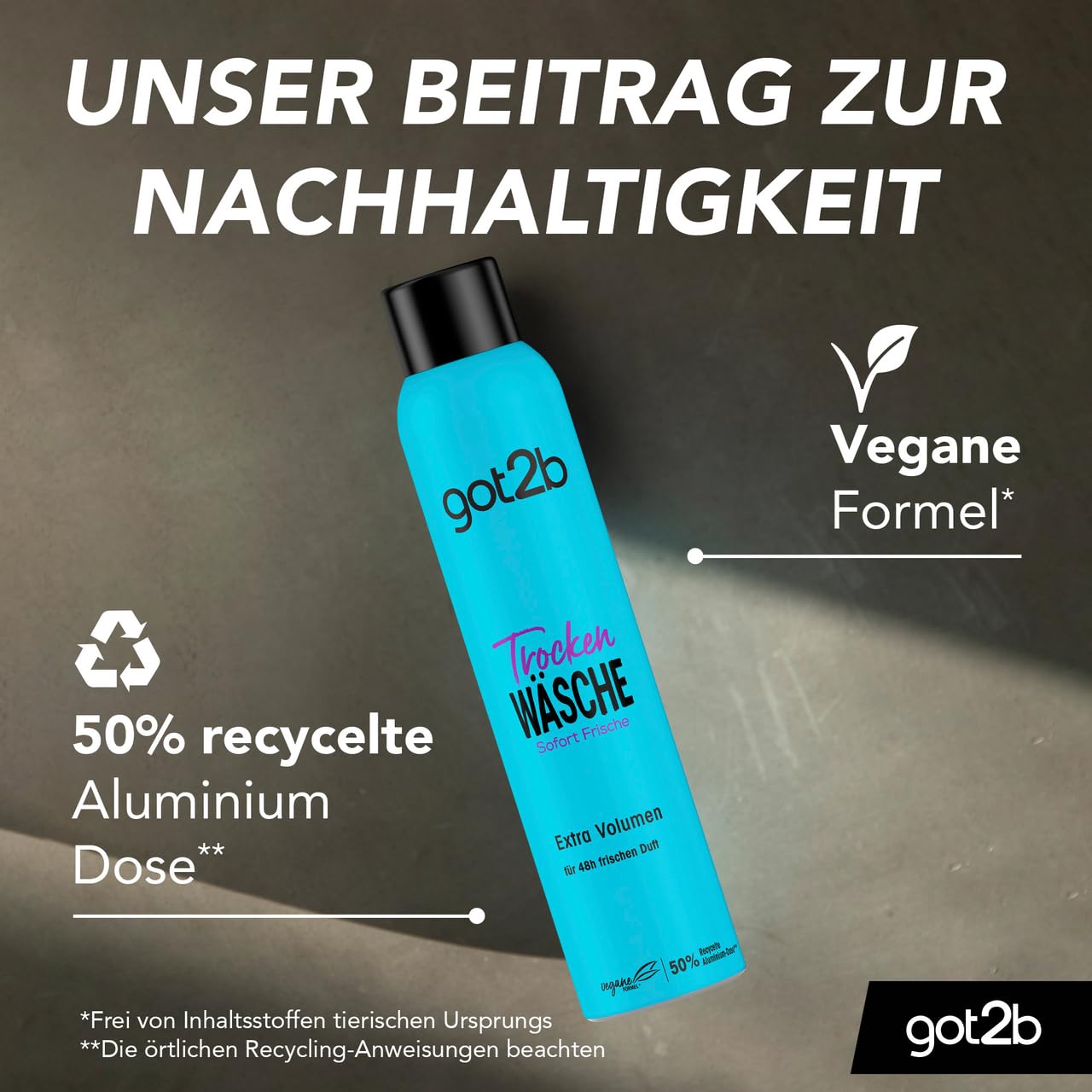 got2b Trockenwäsche Extra Volumen Trockenshampoo 2x200 ml