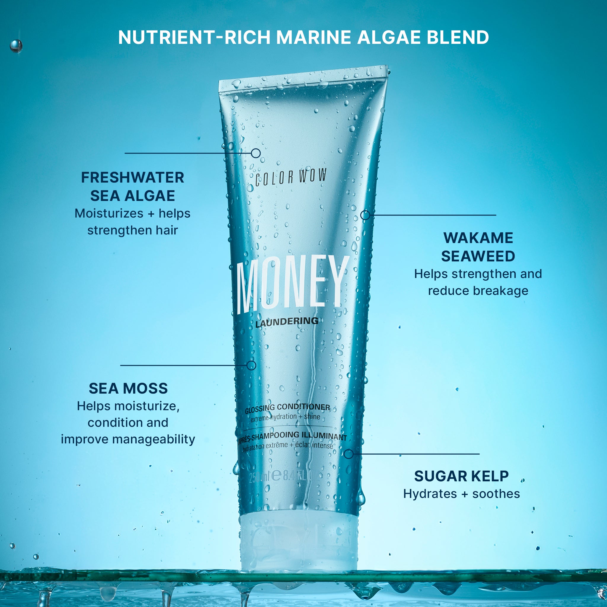 Color Wow Money Laundering Conditioner 8.4 fl oz Glanz Ceramid