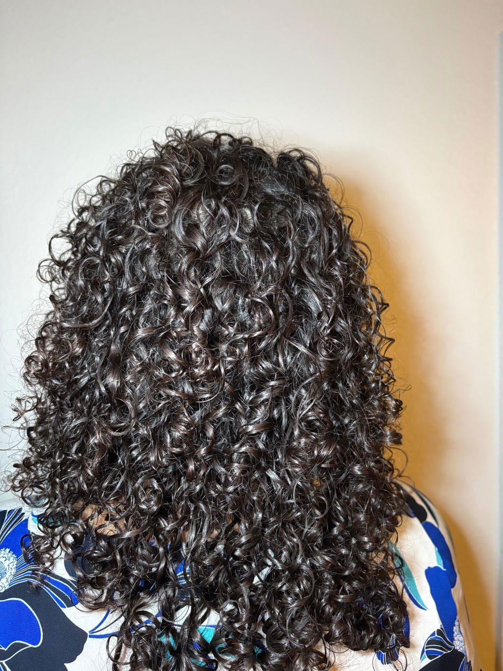 Bounce Curl Light Oil Haaröl leicht für Glanz und Frizz