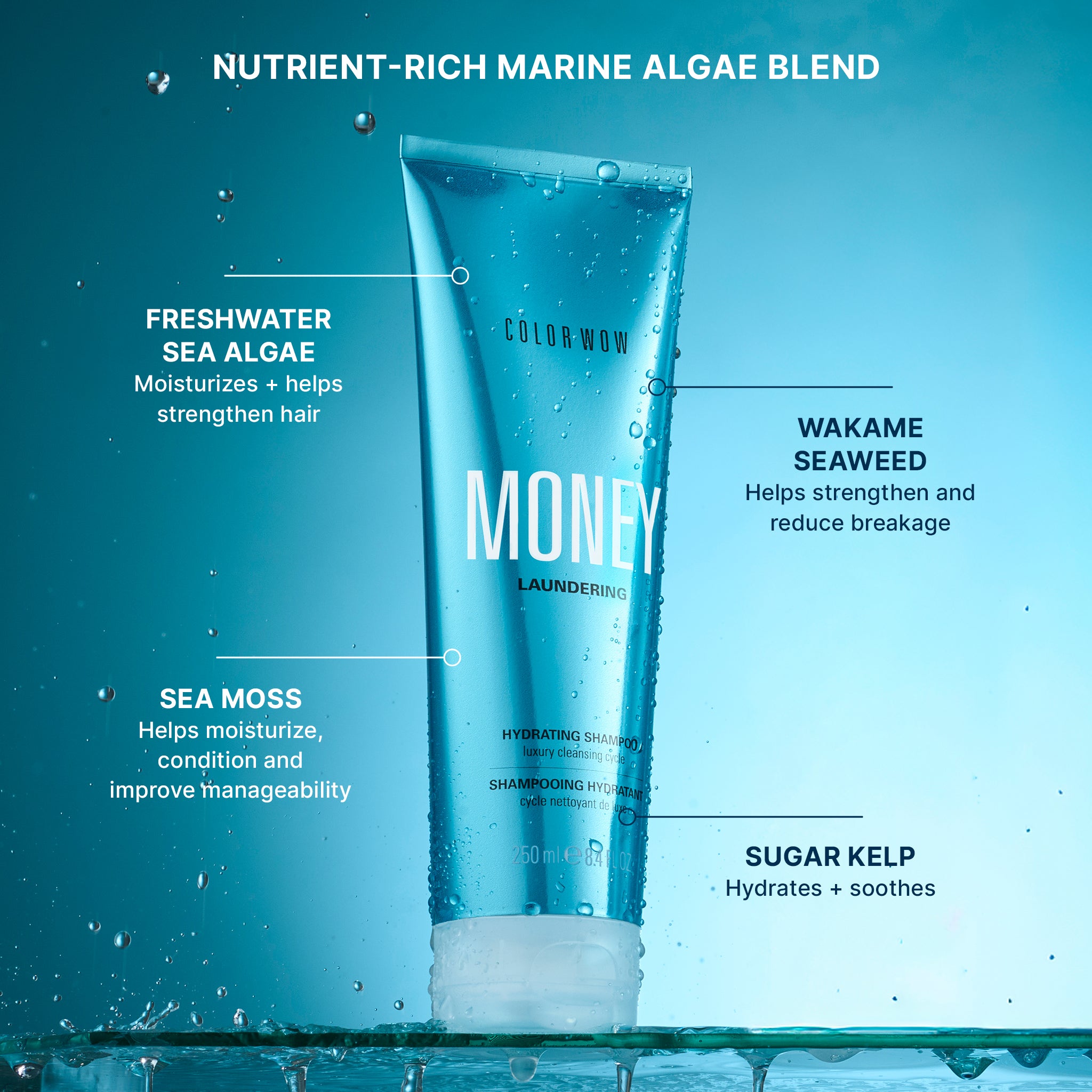 Color Wow Shampoo Money Laundering Shampoo 250 ml Feuchtigkeit